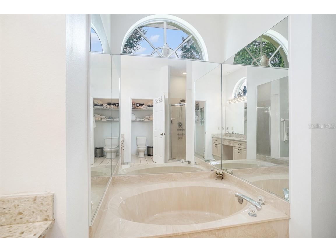 3817 Redwood Drive Land O Lakes FL 34639 O6343315 image16