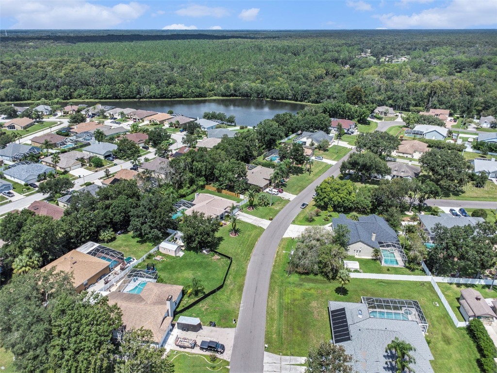 3817 Redwood Drive Land O Lakes FL 34639 O6343315 image27