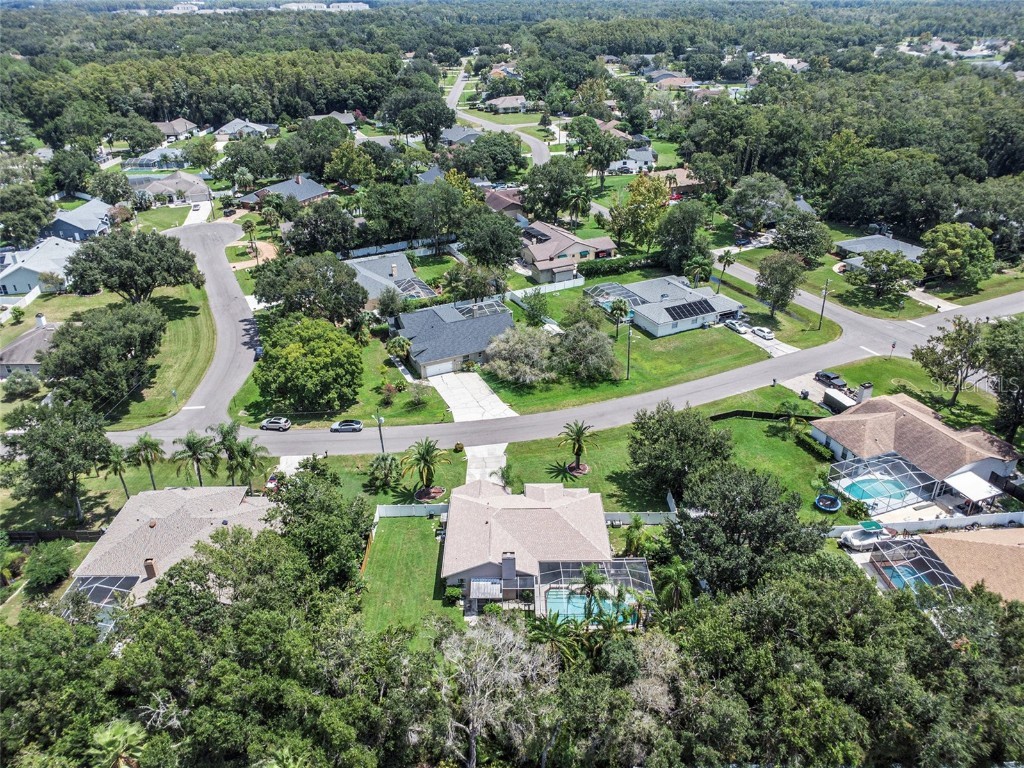 3817 Redwood Drive Land O Lakes FL 34639 O6343315 image28