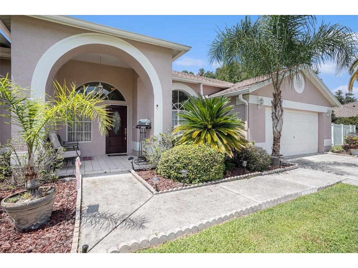 3817 Redwood Drive Land O Lakes FL 34639 O6343315 image4