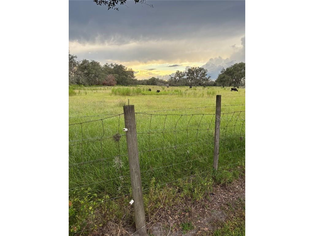 3817 Ryans Lane Zephyrhills FL 33541 TB8433907 image1