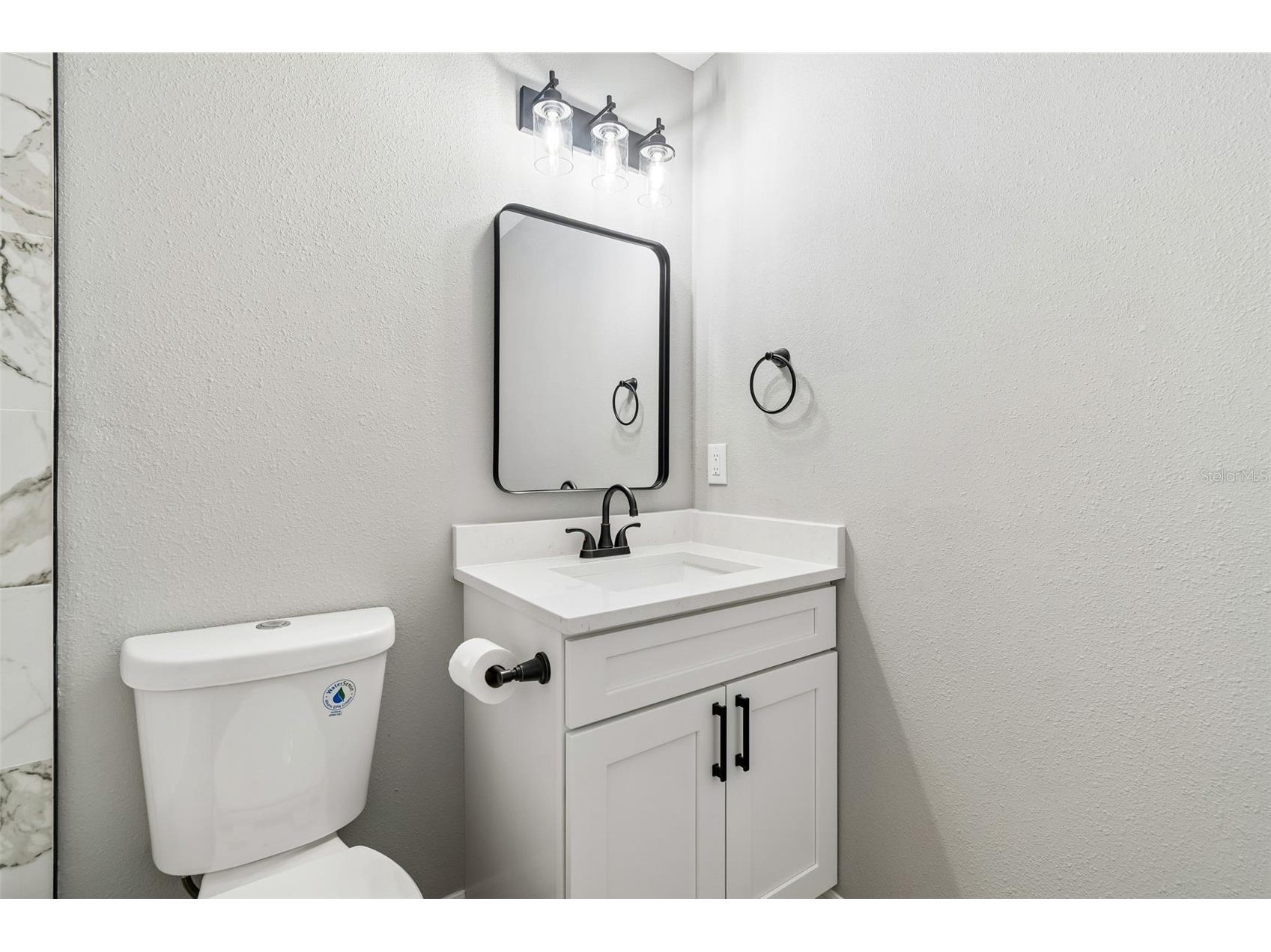 3817 Twilight Drive Valrico FL 33594 TB8488664 image29