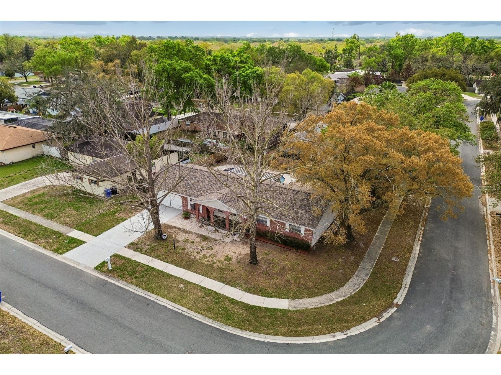 3817 Twilight Drive Valrico FL 33594 TB8488664 image5