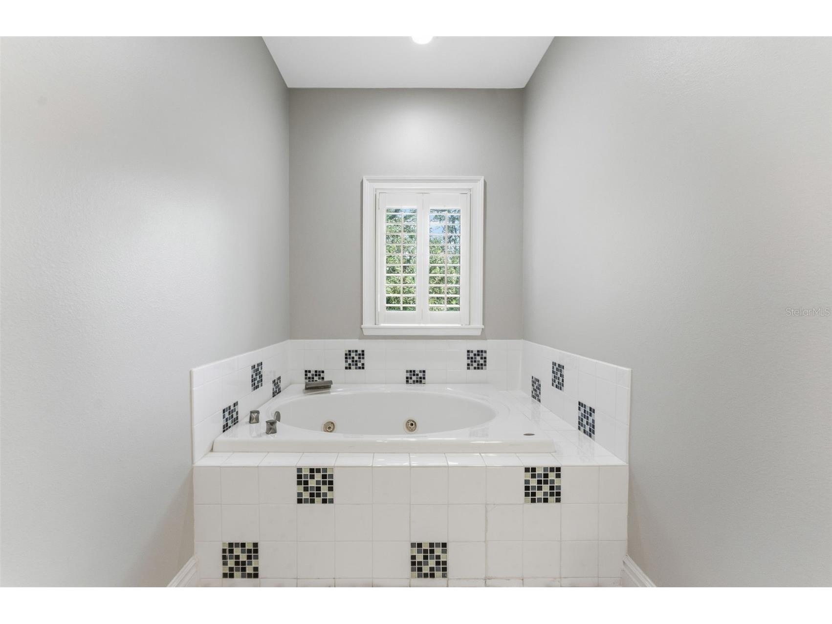 3817 W Dale Avenue #4 Tampa FL 33609 TB8507934 image21