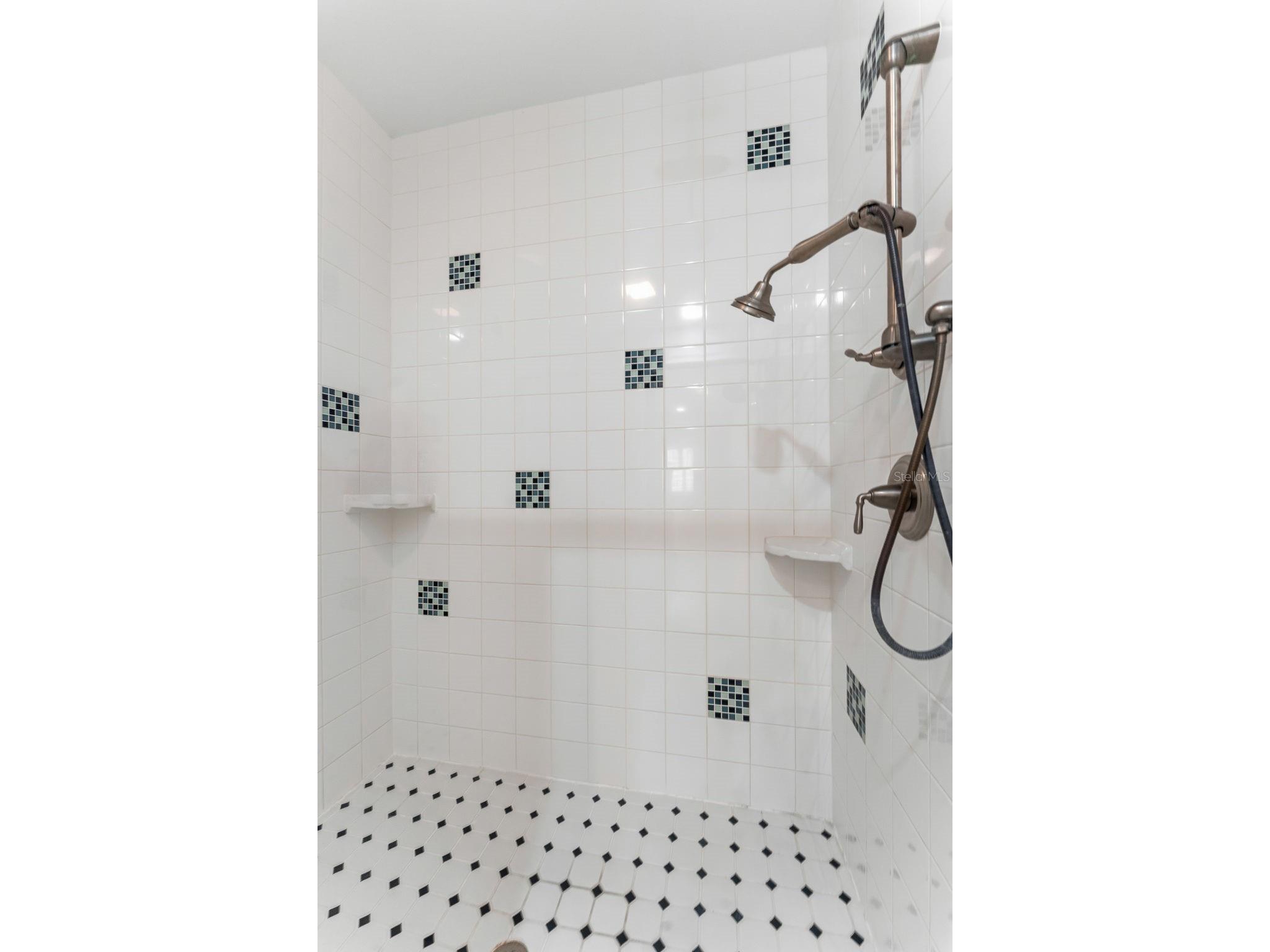 3817 W Dale Avenue #4 Tampa FL 33609 TB8507934 image22