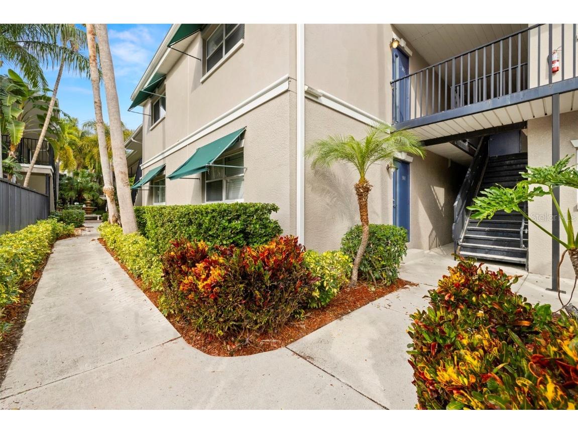 3817 W Platt Street #306 Tampa FL 33609 TB8338149 image1