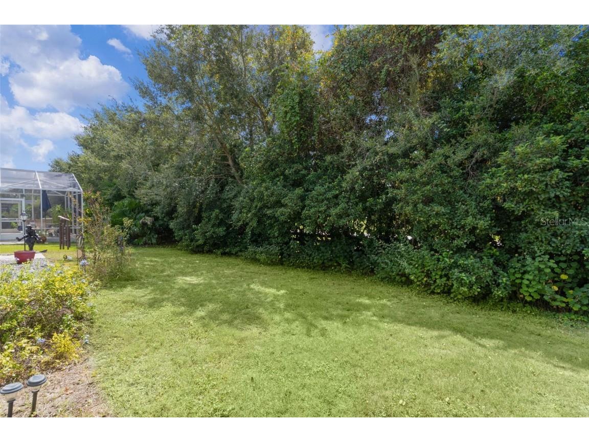 3818 Infinity Run The Villages FL 32163 G5102409 image43