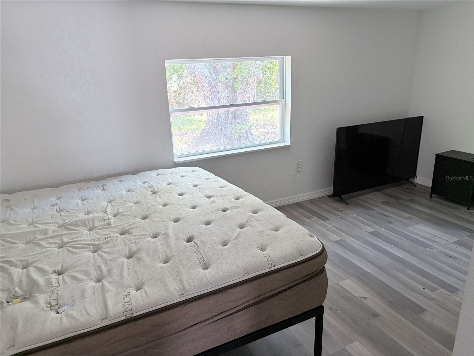 3818 Moog Road Holiday FL 34691 S5149837 image14