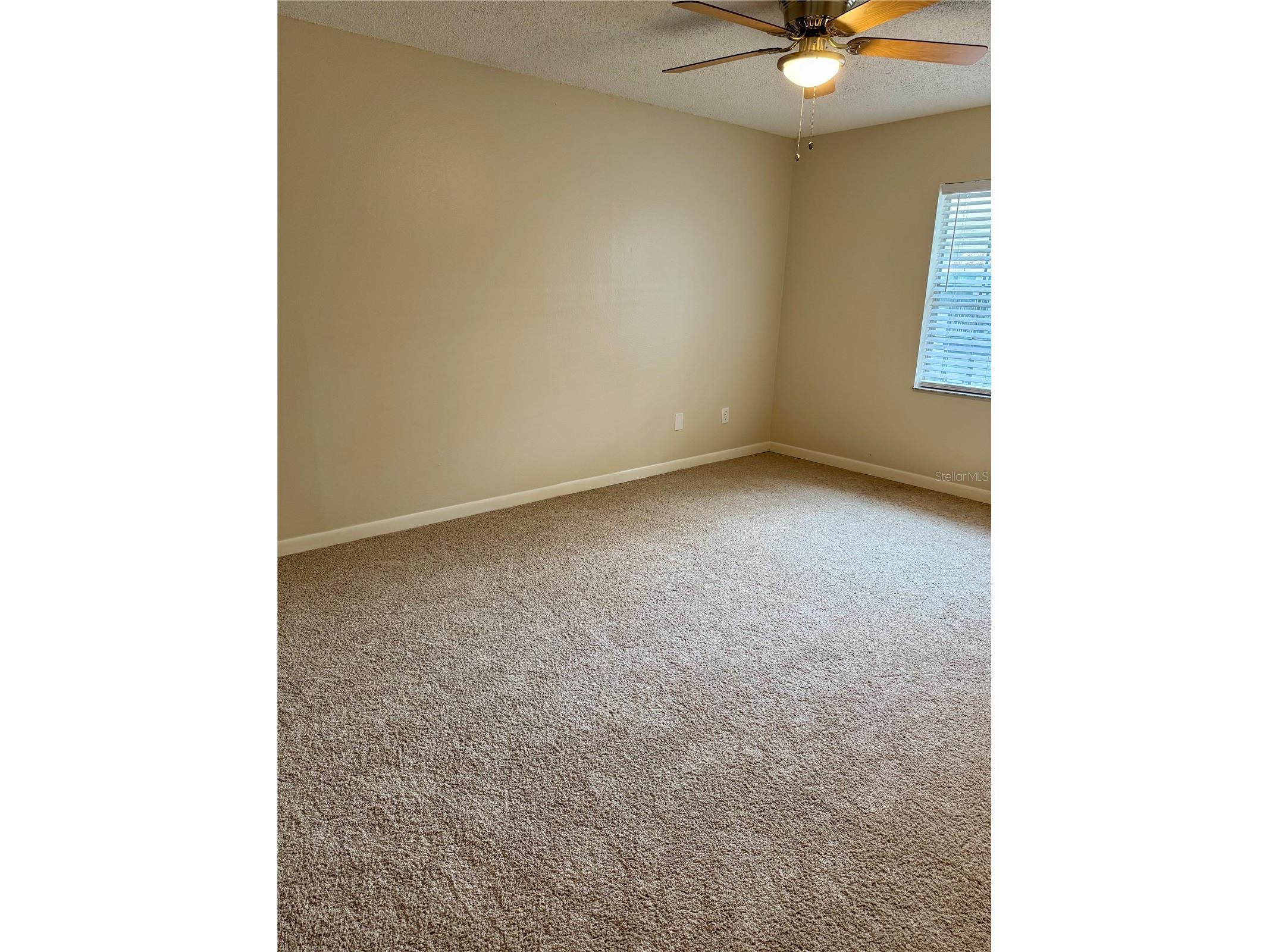 3819 N Oak Drive #I42 Tampa FL 33611 TB8482444 image5