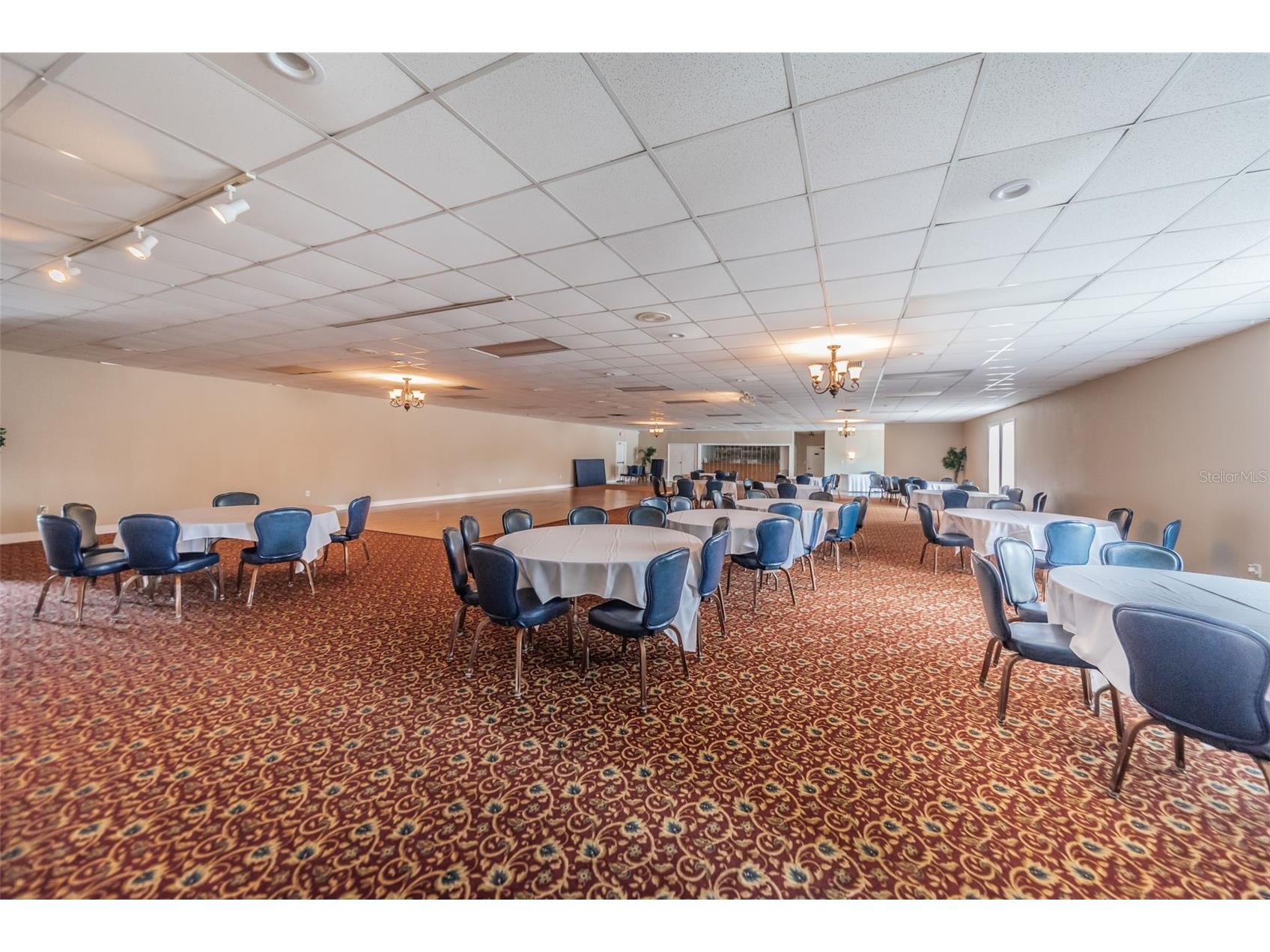 3819 Teeside Drive New Port Richey FL 34655 TB8519398 image53