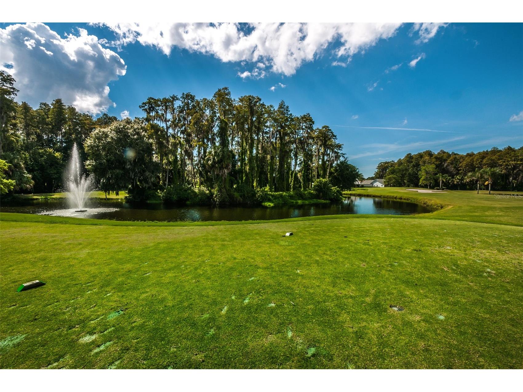 3819 Teeside Drive New Port Richey FL 34655 TB8519398 image58