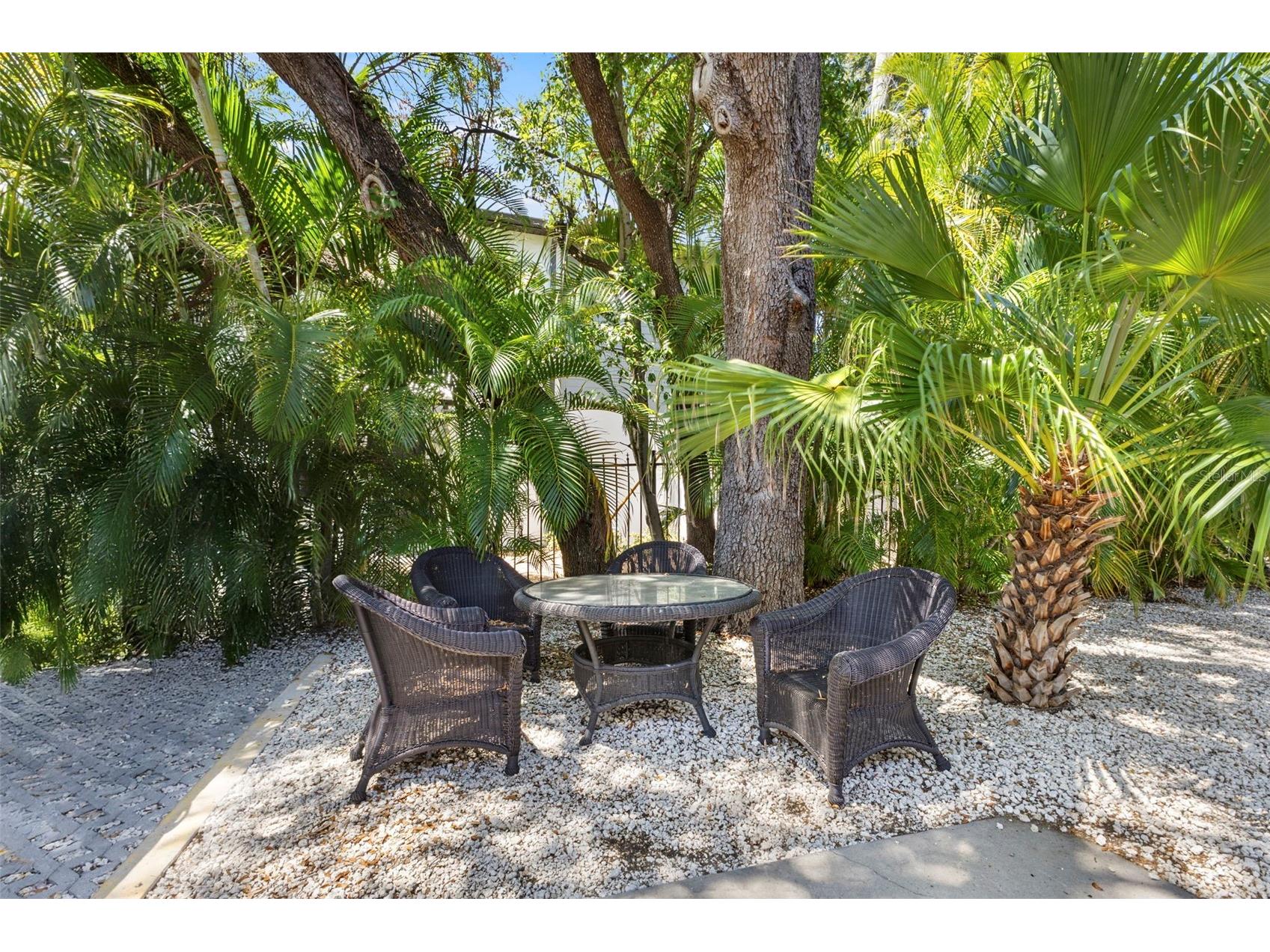 3819 W Dale Avenue #6 Tampa FL 33609 TB8523526 image41