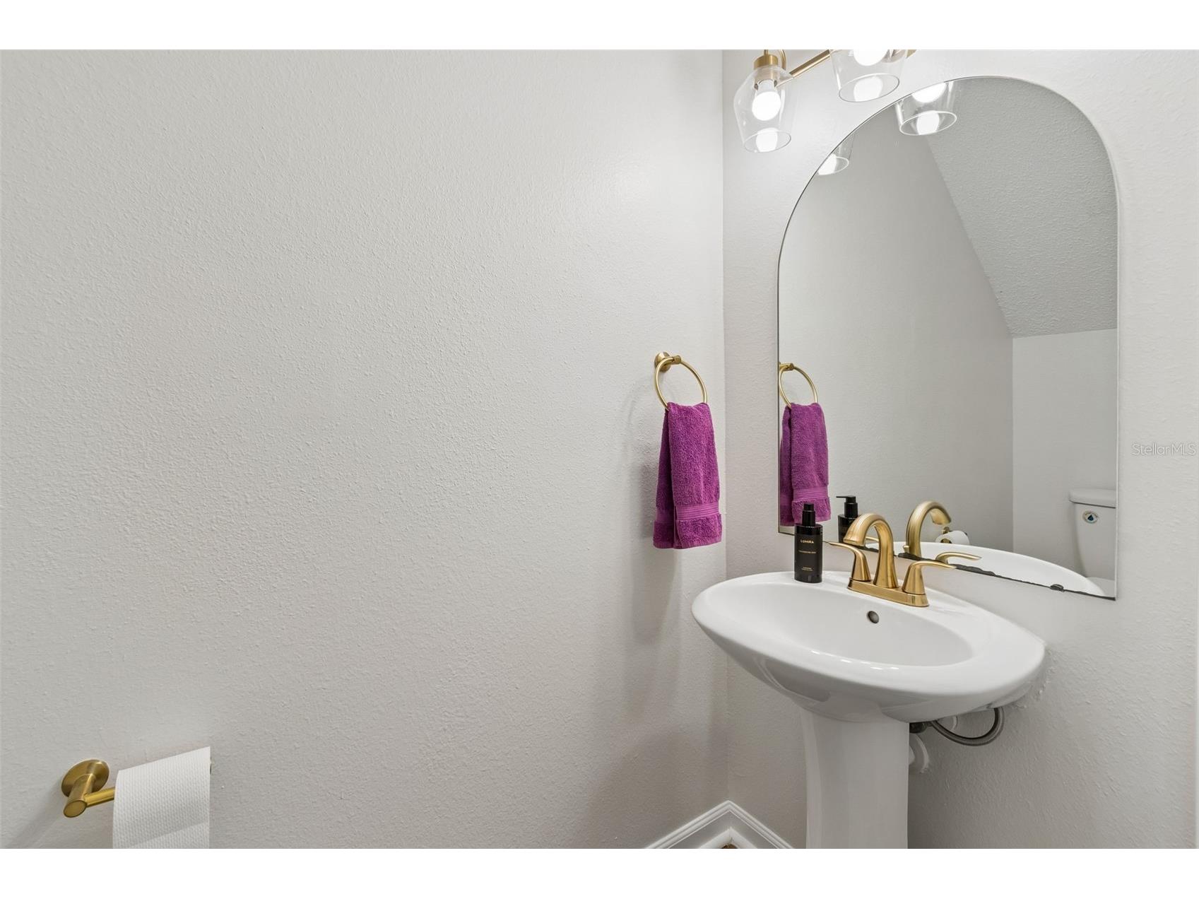 382 Countryside Key Boulevard Oldsmar FL 34677 TB8506337 image24