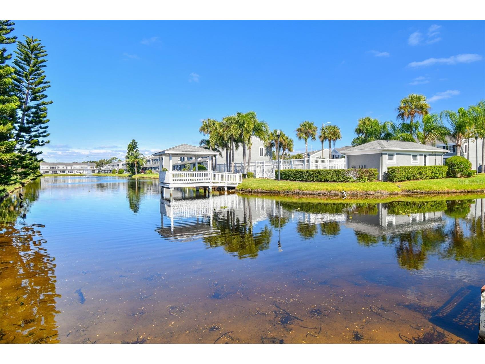382 Countryside Key Boulevard Oldsmar FL 34677 TB8506337 image54