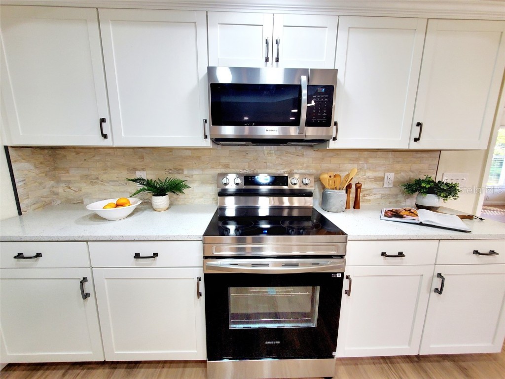 382 Waterford Circle E Tarpon Springs FL 34688 TB8420596 image16