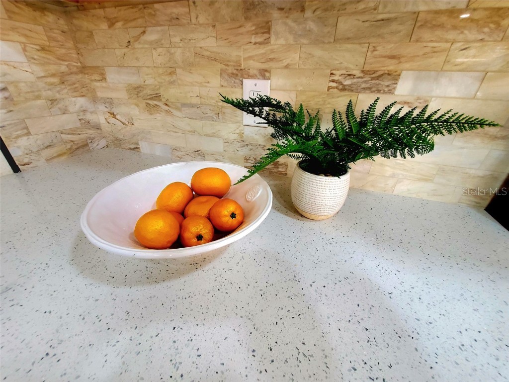 382 Waterford Circle E Tarpon Springs FL 34688 TB8420596 image17