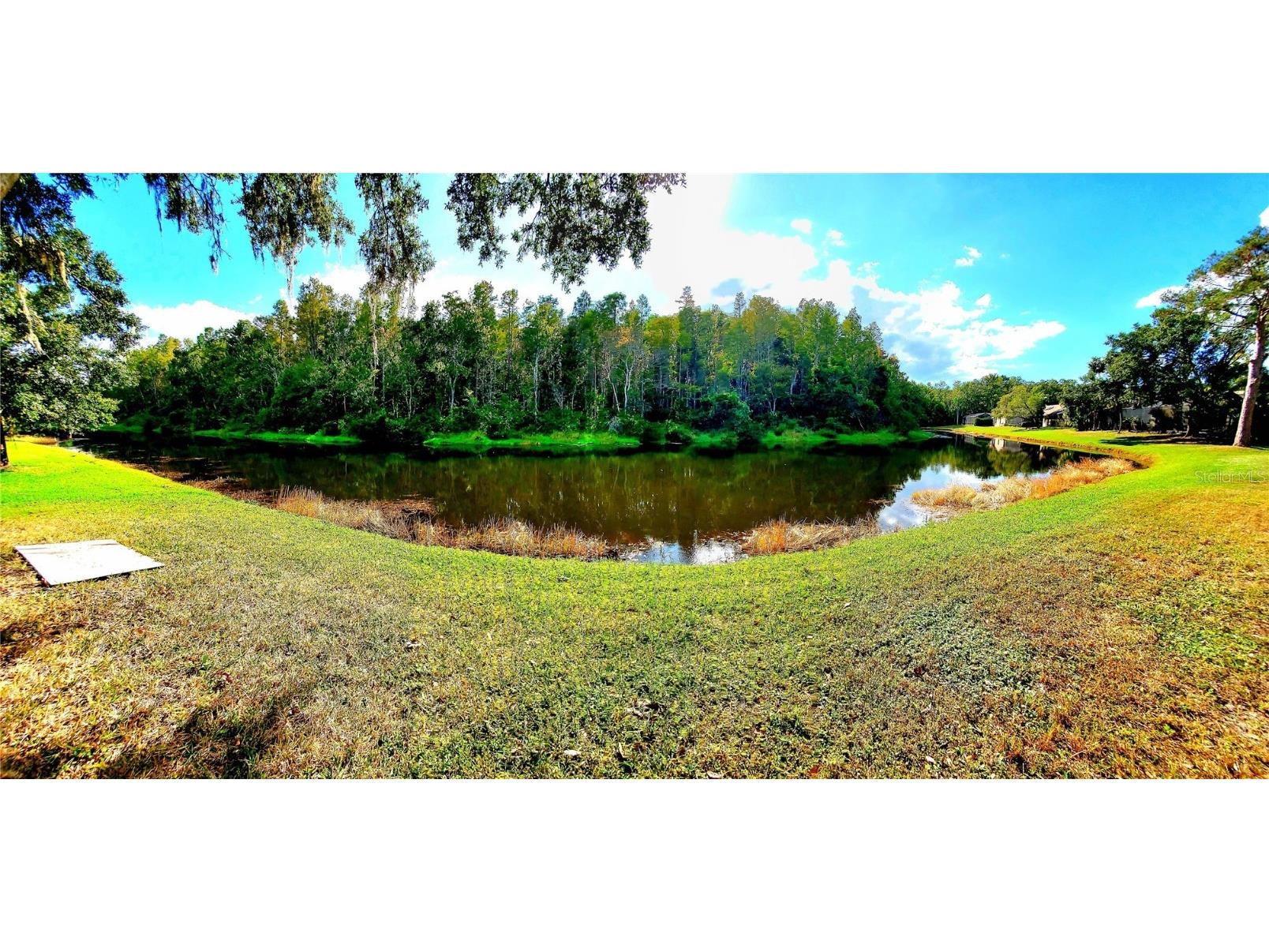 382 Waterford Circle E Tarpon Springs FL 34688 TB8420596 image5