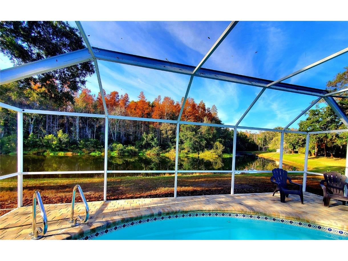 382 Waterford Circle E Tarpon Springs FL 34688 TB8420596 image55