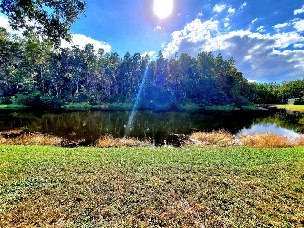 382 Waterford Circle E Tarpon Springs FL 34688 TB8420596 image56