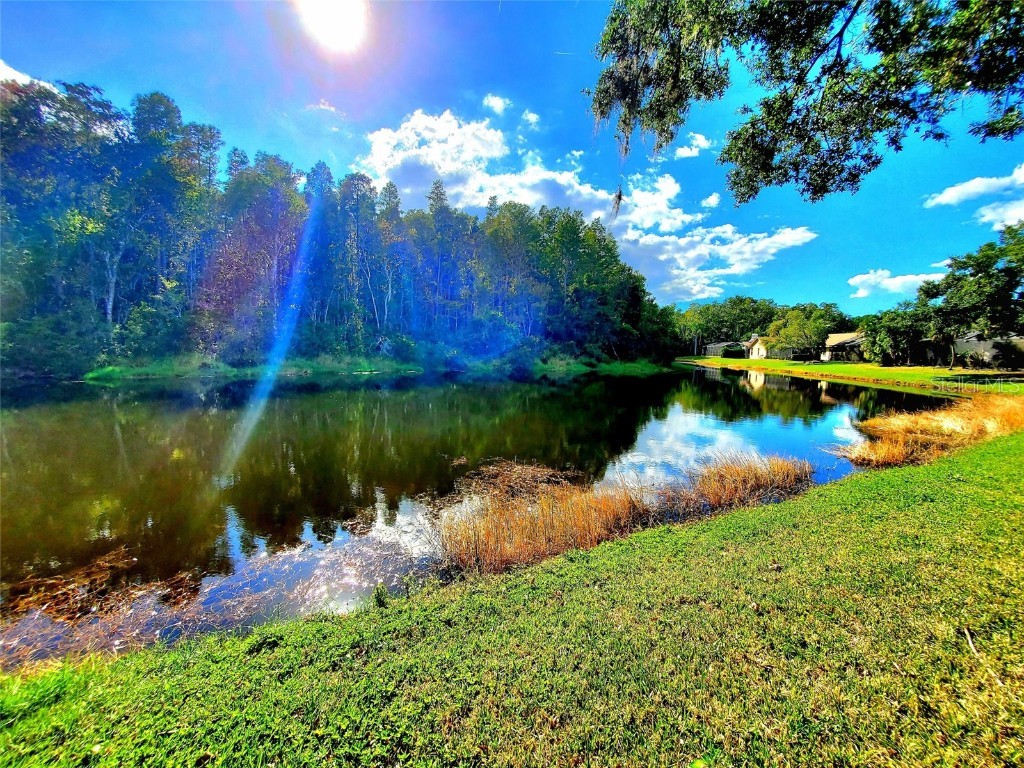 382 Waterford Circle E Tarpon Springs FL 34688 TB8420596 image57