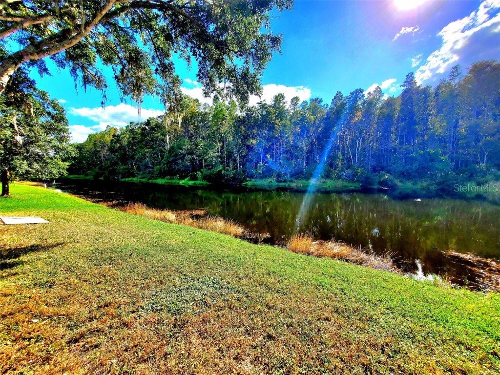 382 Waterford Circle E Tarpon Springs FL 34688 TB8420596 image59