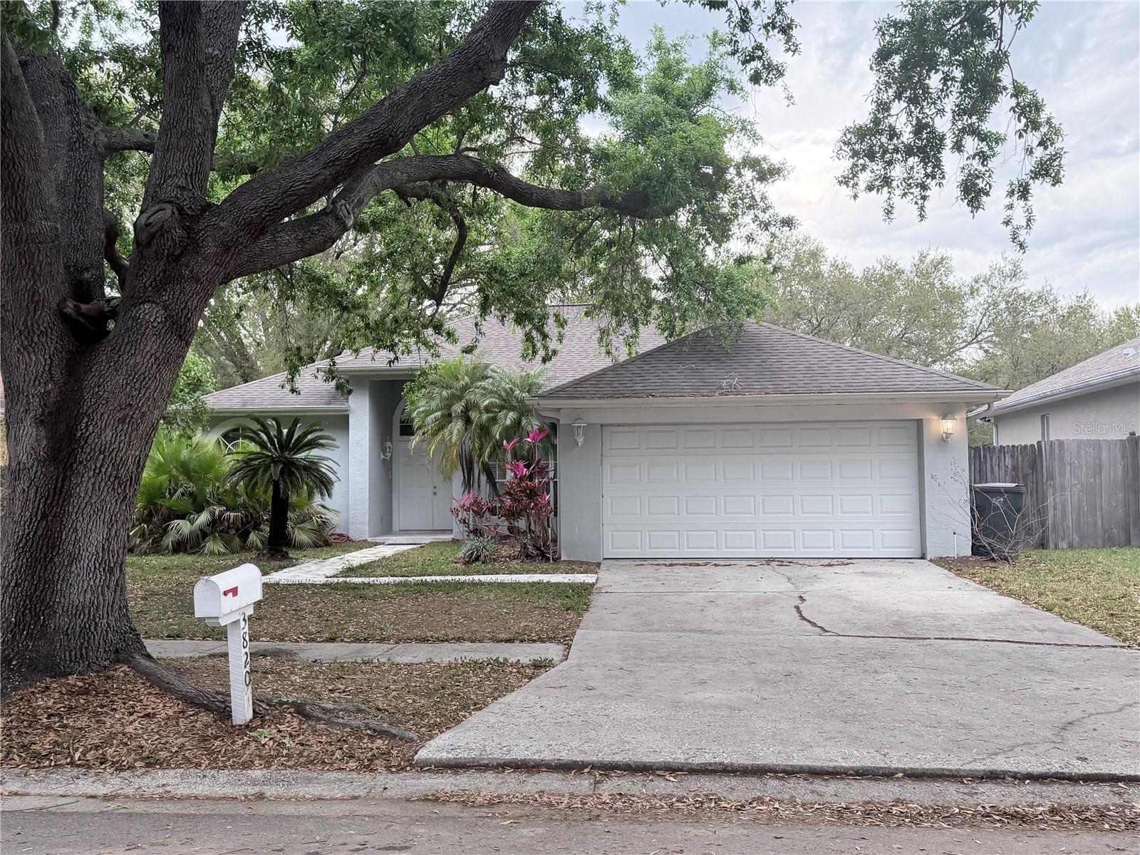 3820 Cypress Meadows Road Tampa FL 33624 TB8484062 image1