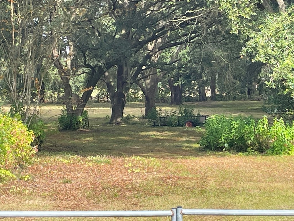 3820 E C-466 Oxford FL 34484 G5045397 image13