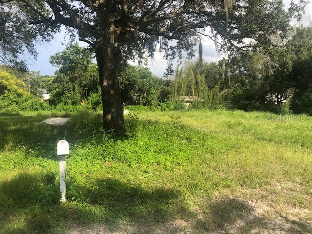 3820 Ford Street New Port Richey FL 34655 U8177650 image1