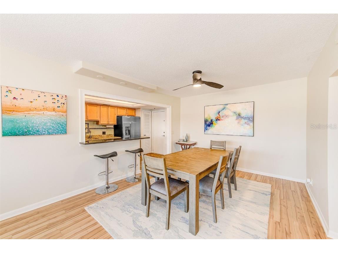 3820 Gulf Boulevard #207 Saint Pete Beach FL 33706 TB8445374 image12