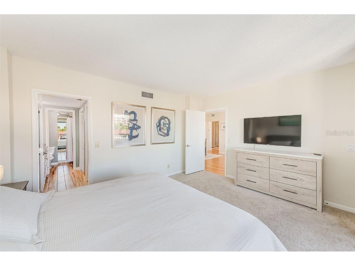 3820 Gulf Boulevard #207 Saint Pete Beach FL 33706 TB8445374 image20