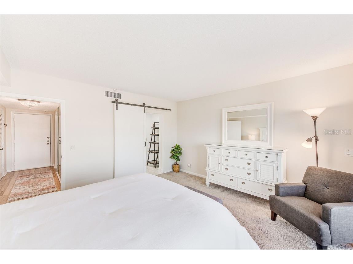 3820 Gulf Boulevard #207 Saint Pete Beach FL 33706 TB8445374 image29