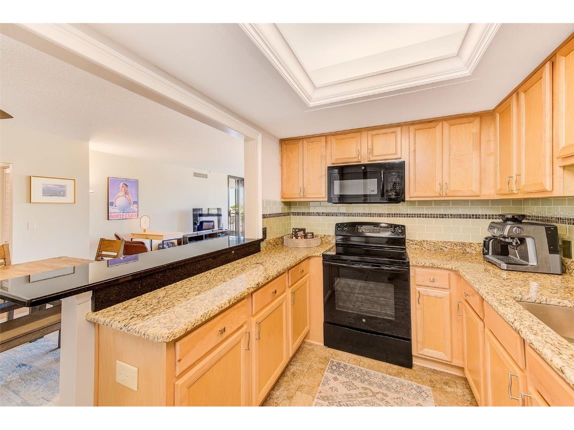 3820 Gulf Boulevard #207 Saint Pete Beach FL 33706 TB8445374 image8