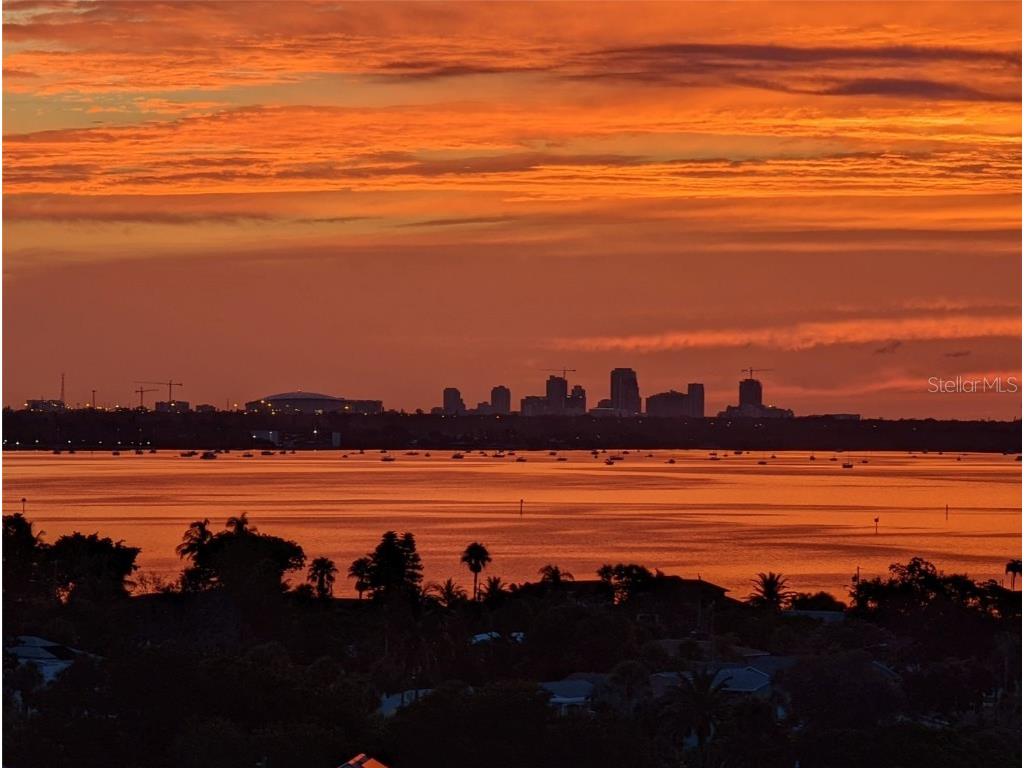 3820 Gulf Boulevard #608 Saint Pete Beach FL 33706 - GULF OF MEXICO U8247920 image41