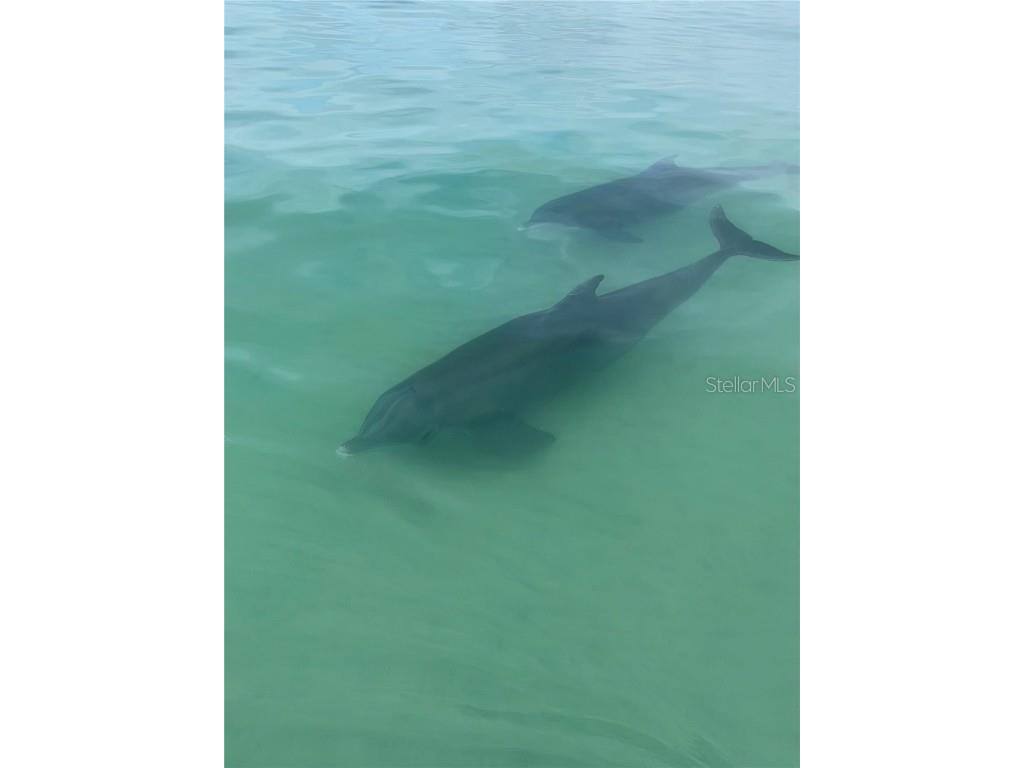 3820 Gulf Boulevard #608 Saint Pete Beach FL 33706 - GULF OF MEXICO U8247920 image61