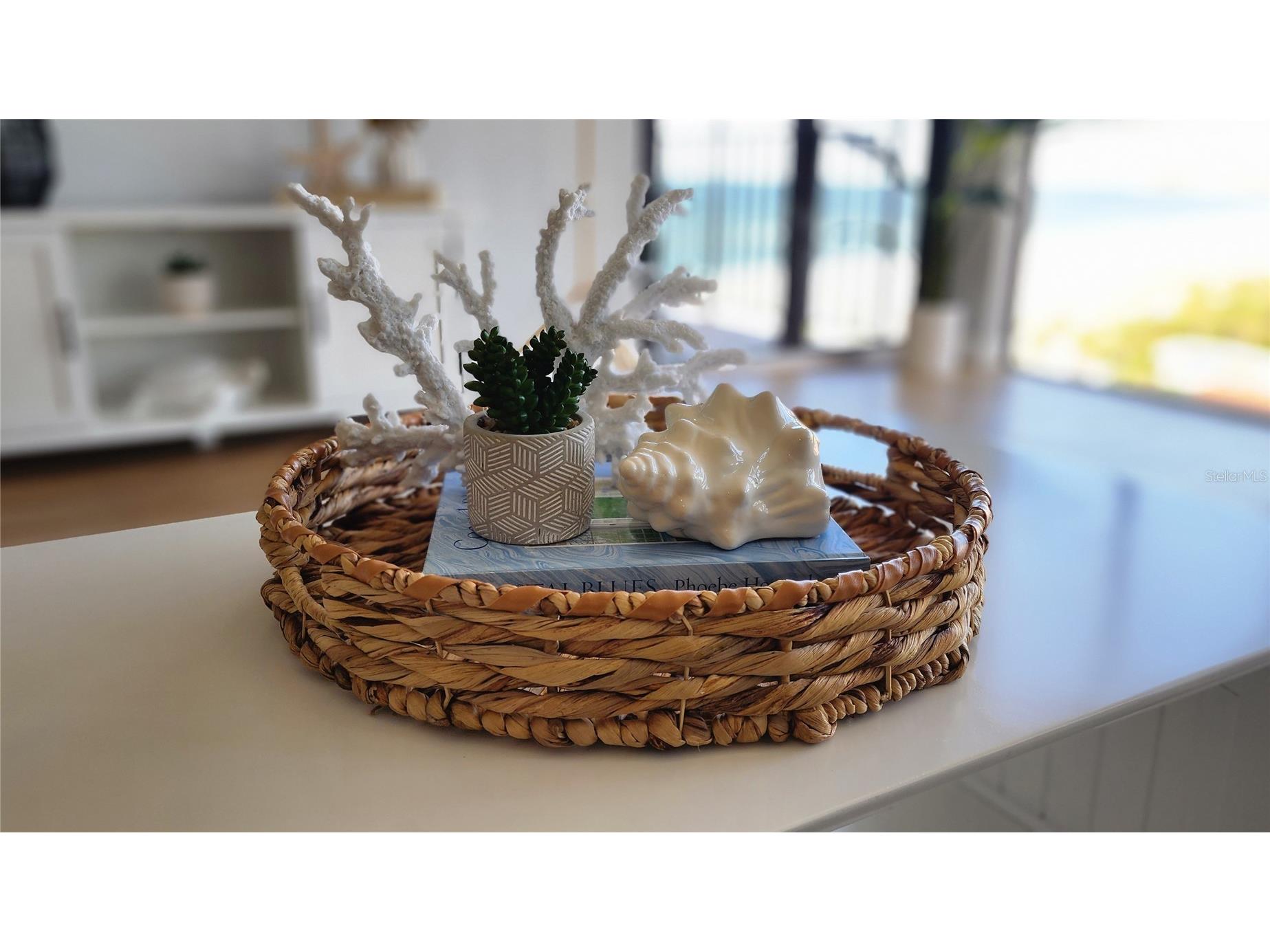 3820 Gulf Boulevard #807 Saint Pete Beach FL 33706 TB8511070 image22