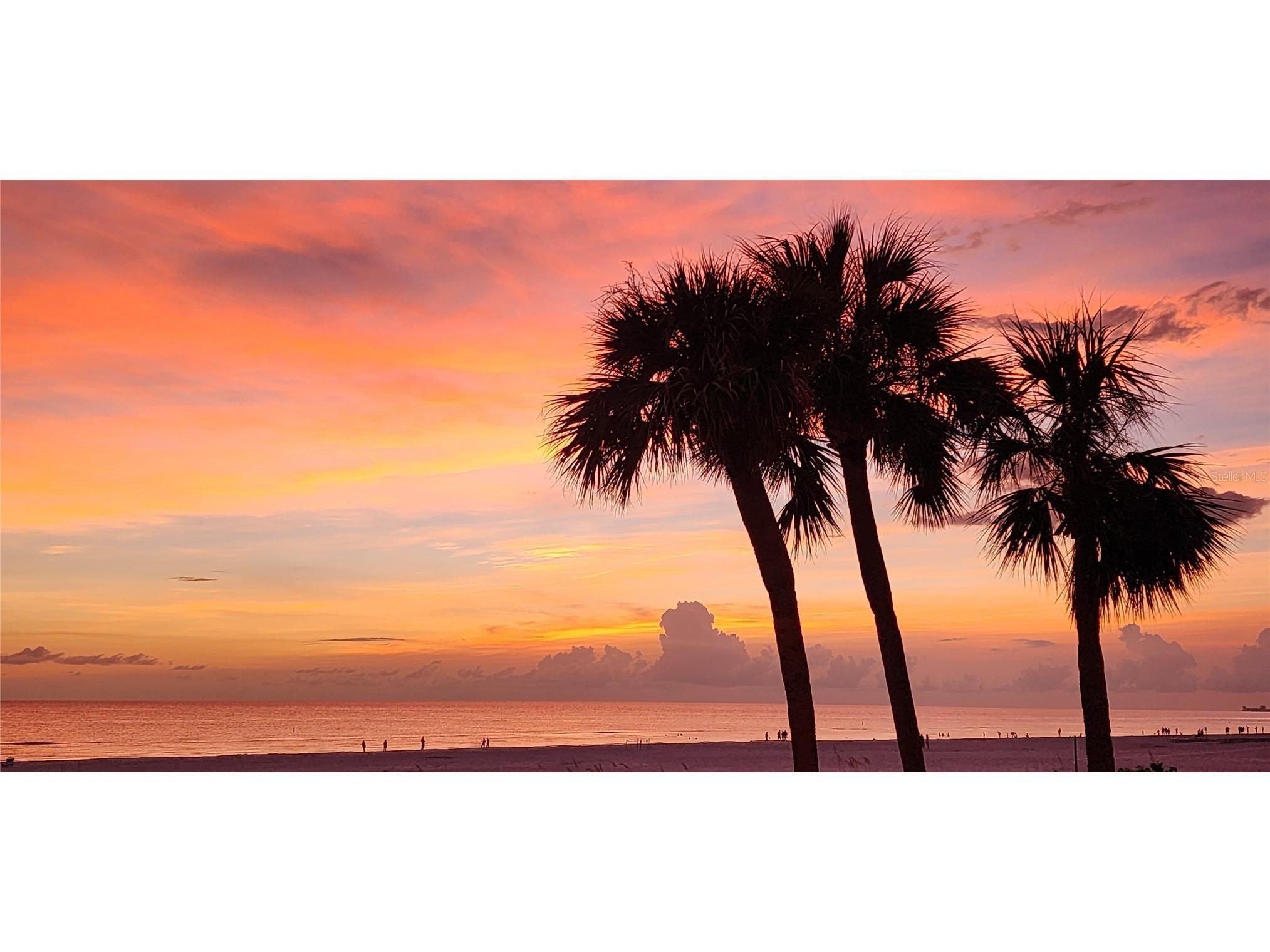 3820 Gulf Boulevard #807 Saint Pete Beach FL 33706 TB8511070 image65