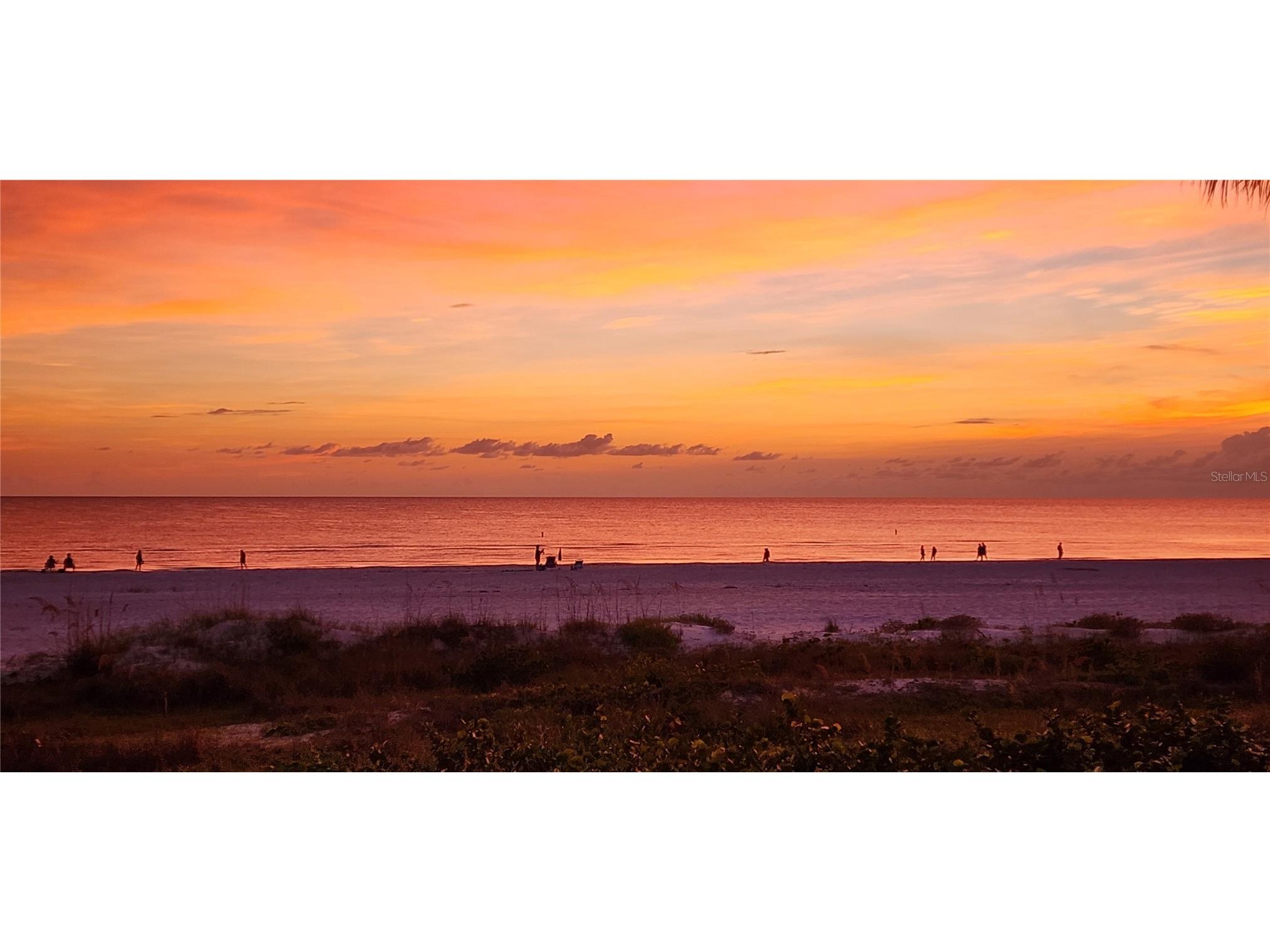3820 Gulf Boulevard #807 Saint Pete Beach FL 33706 TB8511070 image66