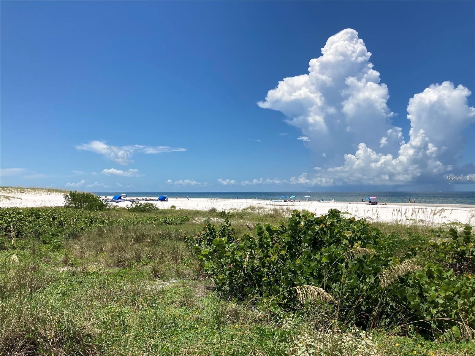 3820 Gulf Boulevard #808 Saint Pete Beach FL 33706 - GULF OF MEXICO BOCA CIEGA BAY TB8498894 image11