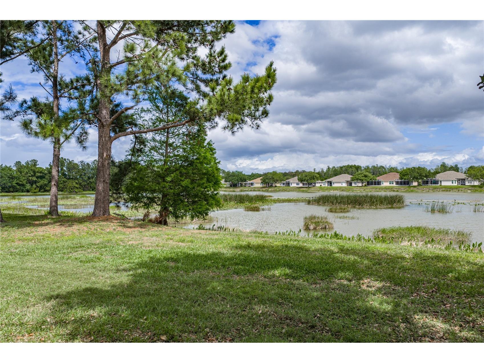 3820 Silverlake Way Wesley Chapel FL 33544 TB8495510 image29