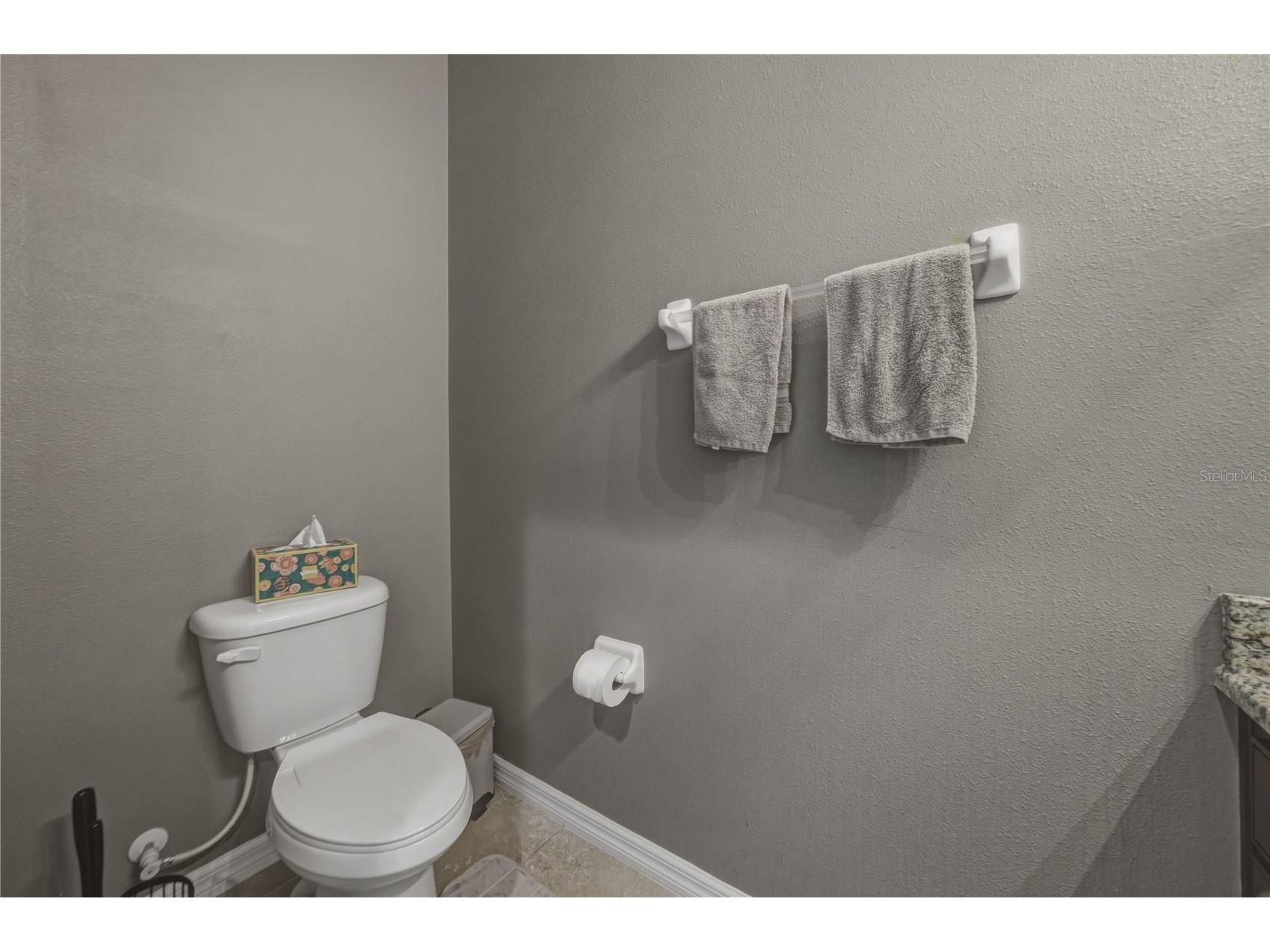 3820 Silverlake Way Wesley Chapel FL 33544 TB8495510 image7