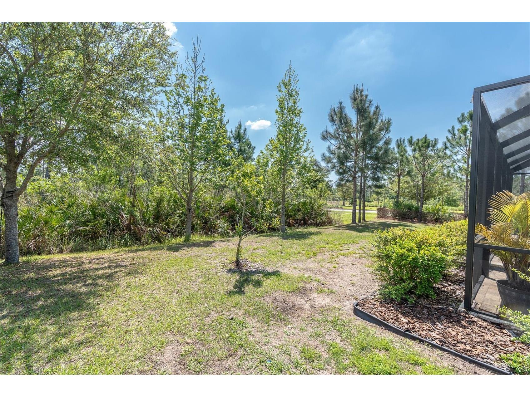 3820 Woods Rider Loop Odessa FL 33556 TB8491218 image48