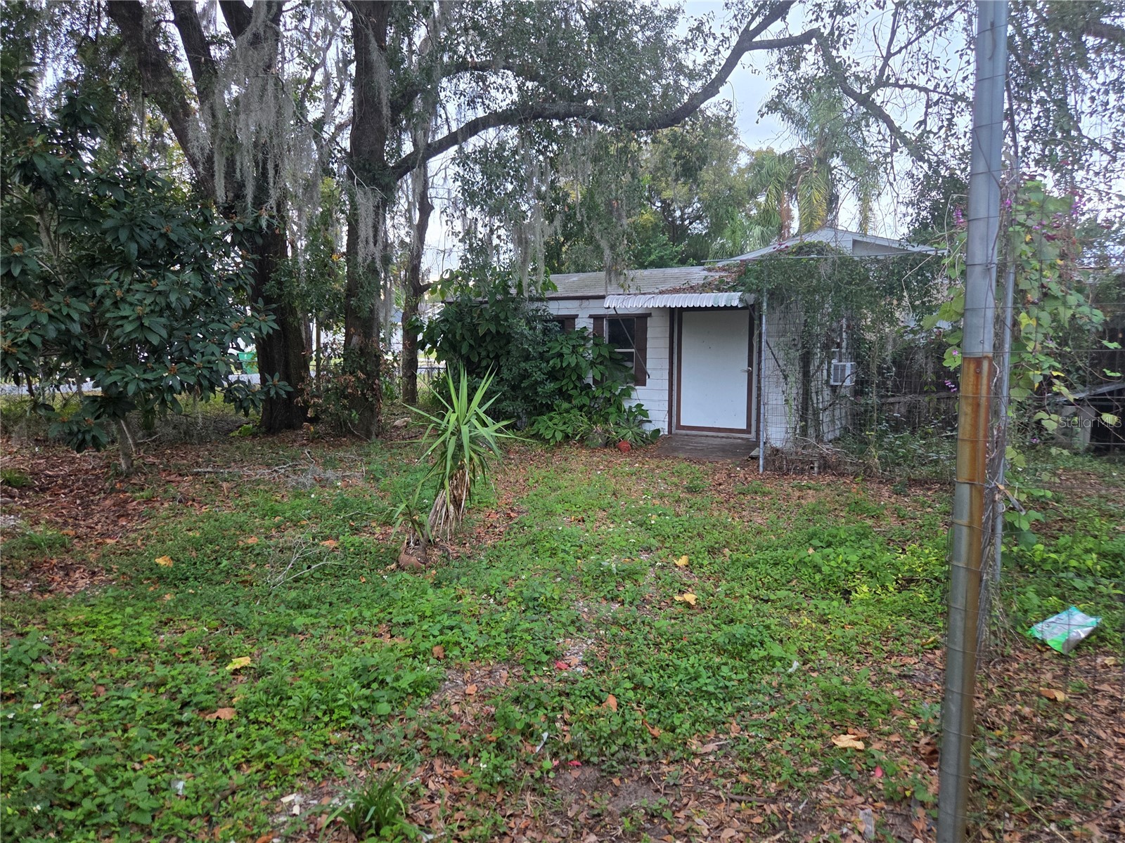 38201 10th Avenue Zephyrhills FL 33542 TB8460266 image31