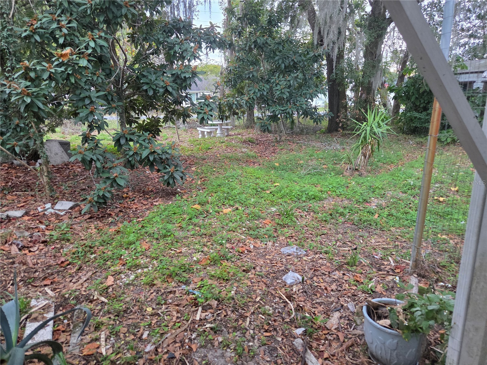 38201 10th Avenue Zephyrhills FL 33542 TB8460266 image35