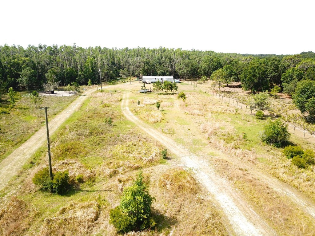 3821 Bruton Road Plant City FL 33565 T3445467 image1