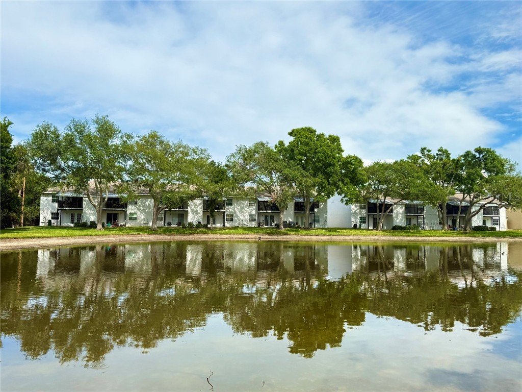 3821 N Oak Drive #J31 Tampa FL 33611 TB8366622 image1