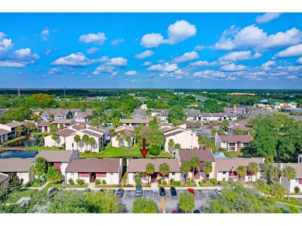3821 S Lake Drive #223 Tampa FL 33614 TB8453025 image19