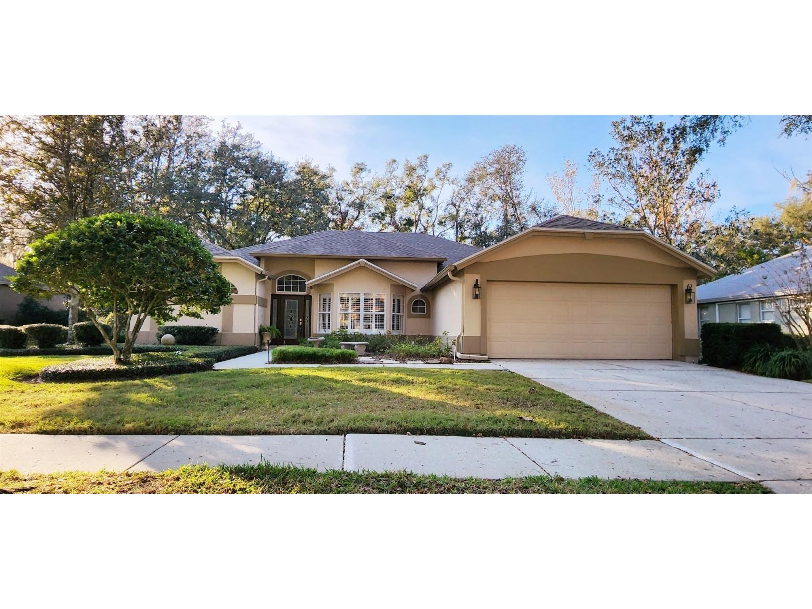 3821 Turkey Oak Drive Valrico FL 33596 T3422879 image1