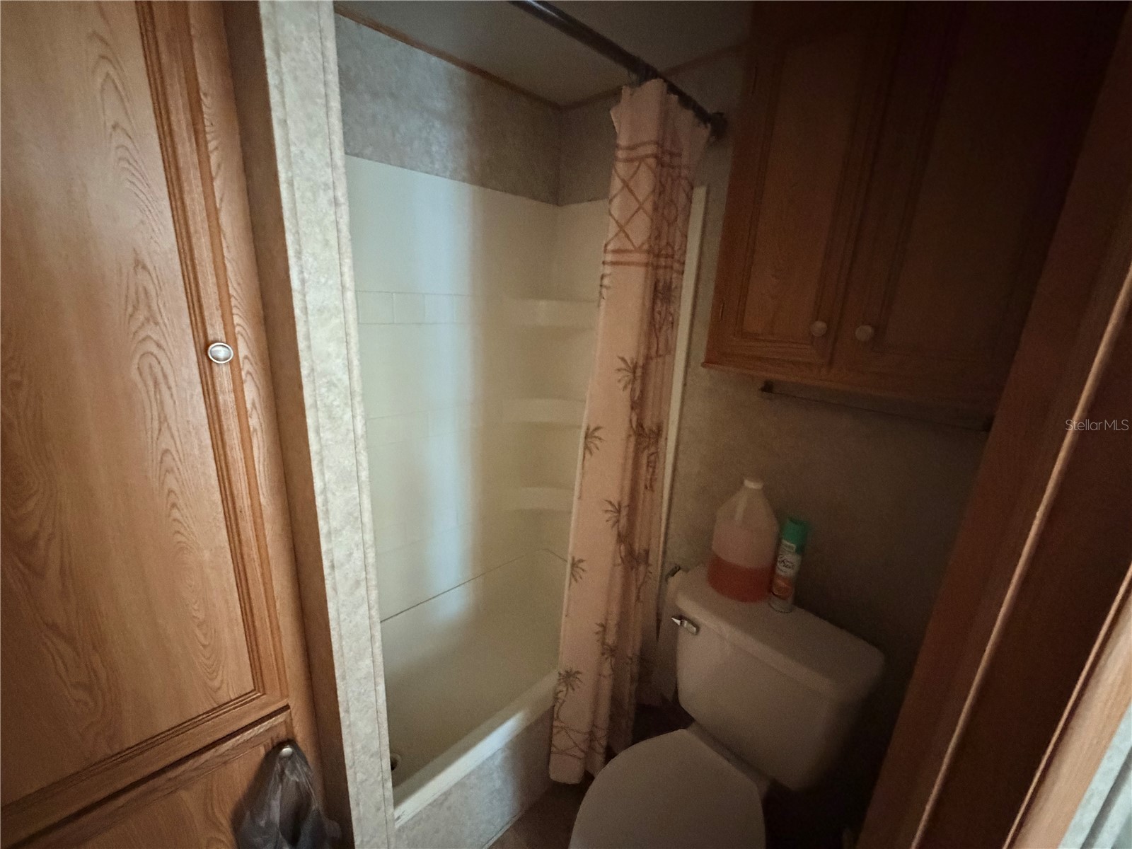38212 Kingbird Way Leesburg FL 34788 - LAKE YALE G5114158 image11