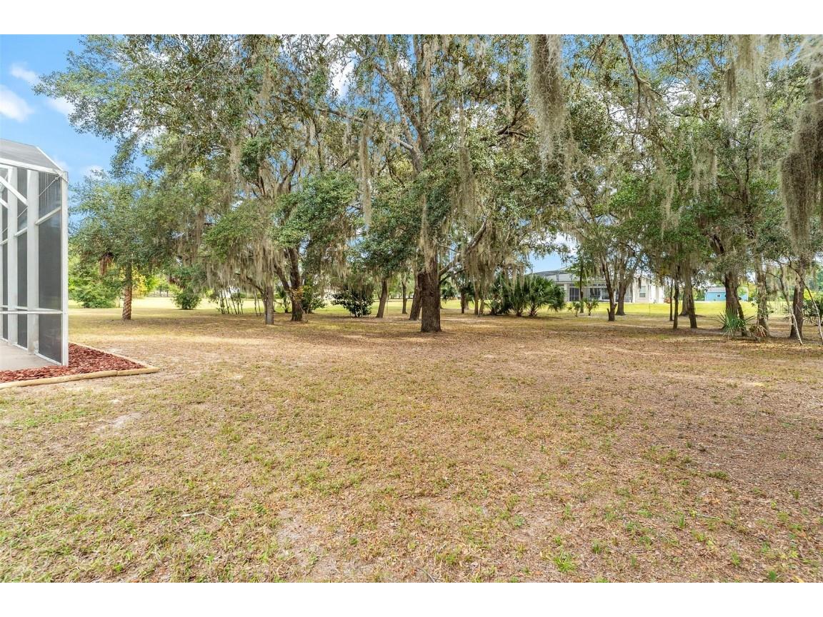 38218 Sabal Way Umatilla FL 32784 - LAKE DALHOUSIE G5104328 image46