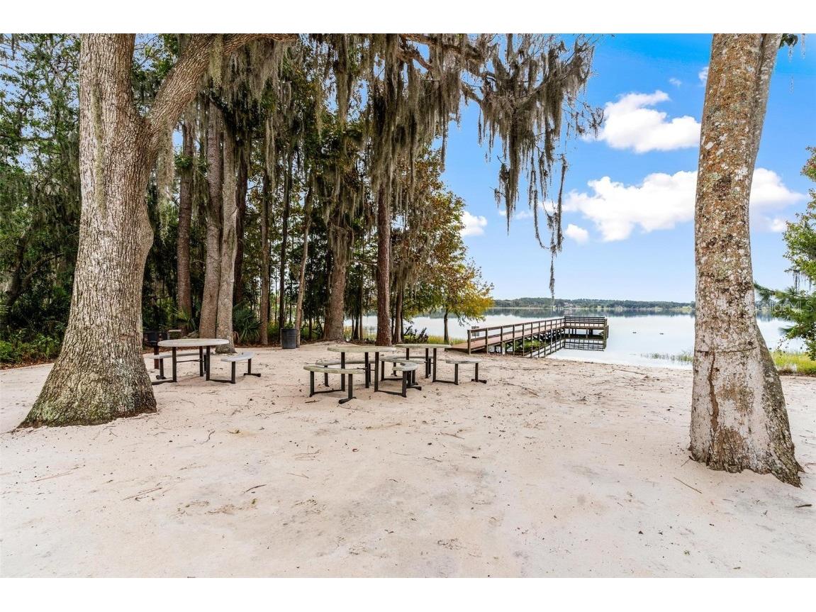 38218 Sabal Way Umatilla FL 32784 - LAKE DALHOUSIE G5104328 image47